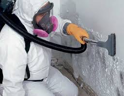 Best Crawl Space Mold Remediation in Locust Valley, NY